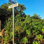 Aldea Xcacel - Residential lots in Riviera Maya 01